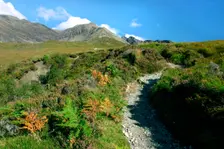 Path from Glen Brittle to Sgurr Alasdair, Cuillin Hills, Isle of Skye, Highland, Scotland. Creator: Peter Thompson