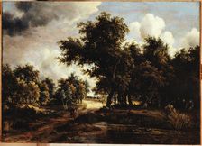 Path in the forest, between 1658 and 1709. Creator: Meindert Hobbema