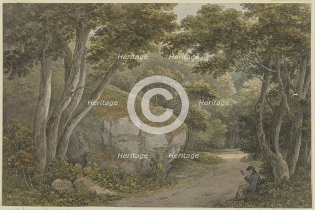 Path in a park, a boulder on the left, c1785-1789. Creator: Georg Melchior Kraus.