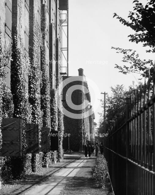 Path in front of warehouse, Hiram Walker & Sons, Walkerville, Ont., between 1905 and 1915. Creator: Unknown.