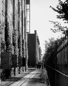 Path in front of warehouse, Hiram Walker & Sons, Walkerville, Ont., between 1905 and 1915. Creator: Unknown