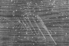Path of the new comet from its discovery on June 30 to August 9, 1861. Creator: Unknown