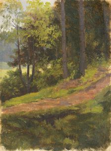 Path on the edge of a forest, 1860-1900. Creator: Jan Nowopacký