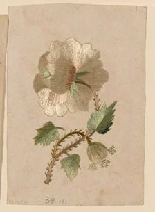 Pattern, Uzbekistan, 18th century. Creator: Unknown