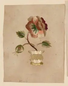 Pattern, Uzbekistan, 18th century. Creator: Unknown