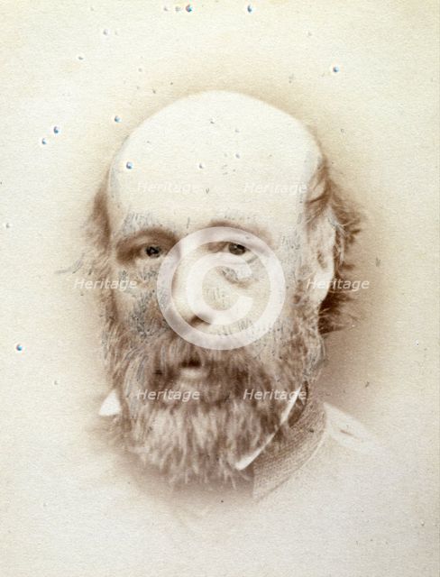 Paul Falconer Poole, R.A., c1856-1875. Creator: John Watkins.