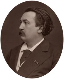 Paul Gustave Dore, French artist, engraver and illustrator, 1877.Artist: Lock & Whitfield