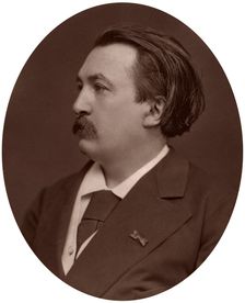 Paul Gustave Dore, French artist, engraver and illustrator, 1877.Artist: Lock & Whitfield