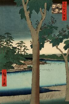 Paulownia Plantation at Akasaka, 1856. Creator: Ando Hiroshige