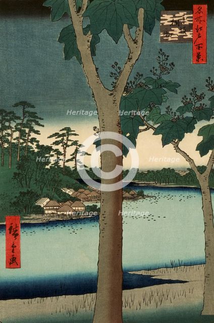 Paulownia Plantation at Akasaka, 1856. Creator: Ando Hiroshige.