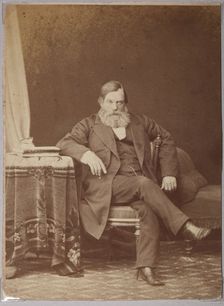 Pavel Ivanovich Melnikov (Andrey Pechersky) (1818-1883), 1875-1878