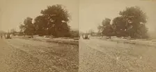 Paving of Lenox Ave. north of Central Park., c1850-1930. Creator: Unknown
