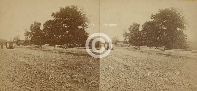 Paving of Lenox Ave. north of Central Park., c1850-1930. Creator: Unknown.
