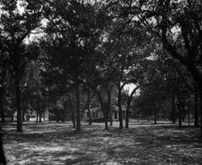 Pavilion behind trees, possibly Southern States, c1901. Creator: Unknown