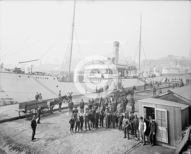 Pay day for the stevedores, Baltimore, Md., c1905. Creator: Unknown.