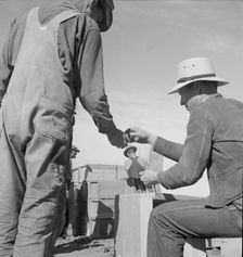 Paymaster on edge of pea fields..., near Calipatria, Imperial Valley, California, 1939. Creator: Dorothea Lange