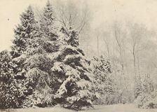 Paysage de sapins sous la neige, c. 1852. Creator: A. Fays