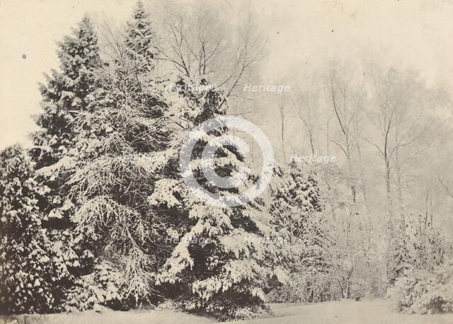 Paysage de sapins sous la neige, c. 1852. Creator: A. Fays.