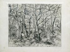Paysage sous Bois, à l'Hermitage (Pontoise), 1879. Artist: Camille Pissarro
