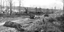 'Paysages d'ete a Verdun; La route de Tavannes a Vaux, au mois de juillet 1916 1916 (1924) Creator: Unknown