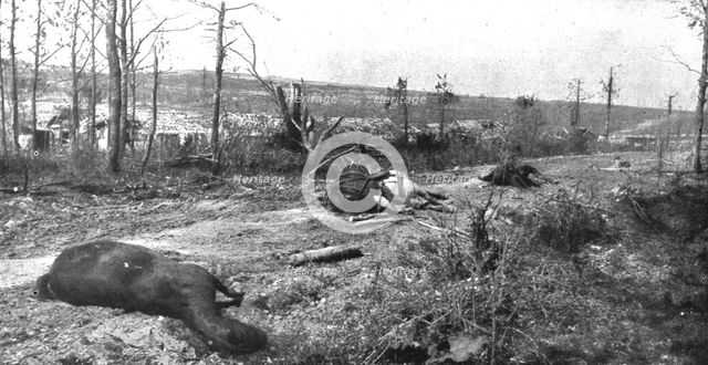 ''Paysages d'ete a Verdun; La route de Tavannes a Vaux, au mois de juillet 1916', 1916 (1924) Creator: Unknown.