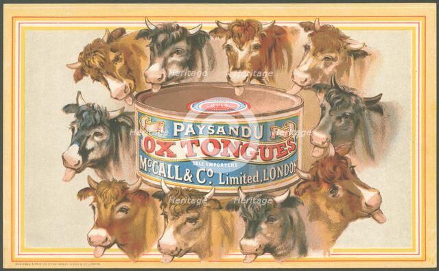 Paysandu ox tongue, 1890s. Artist: Unknown