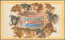 Paysandu ox tongue, 1890s