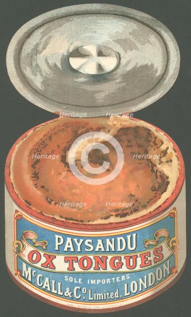Paysandu ox tongue, 1890s. Artist: Unknown