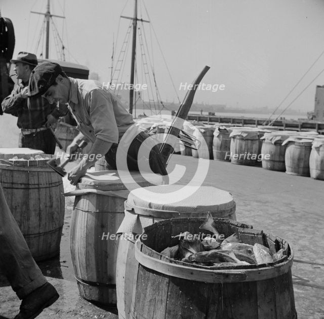 Packing fish in barrels at the Fulton fish market, New York, 1943. Creator: Gordon Parks.