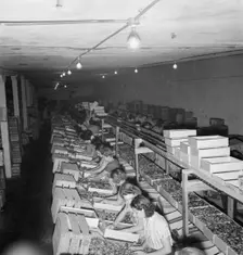 Packing fresh prunes at night on Produce Row during busy season, Yakima, Washington, 1939. Creator: Dorothea Lange