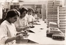 Packing Rowntree's Fruit Pastilles, York, 1920