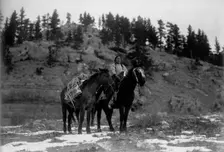 Pack horse [i.e., packhorse]-Apsaroke, c1908. Creator: Edward Sheriff Curtis