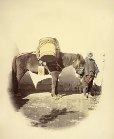 Pack Pony, 1866-1867. Creator: Felice Beato