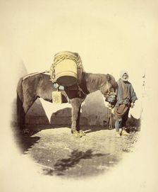 Pack Pony, 1866-1867. Creator: Felice Beato