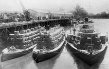 Paddle steamers and barges carrying wool bales - unknown location. Creator: Unknown