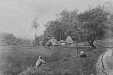 Paddy Field near Gampola c1890, (1910). Artist: Alfred William Amandus Plate