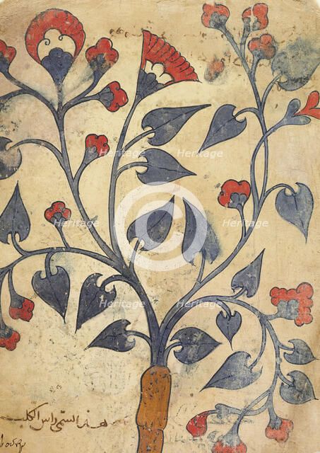 Page from an Herbal Manuscript (image 2 of 2), 13th century. Creator: Unknown.