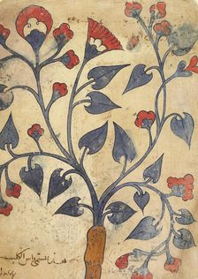 Page from an Herbal Manuscript (image 2 of 2), 13th century. Creator: Unknown