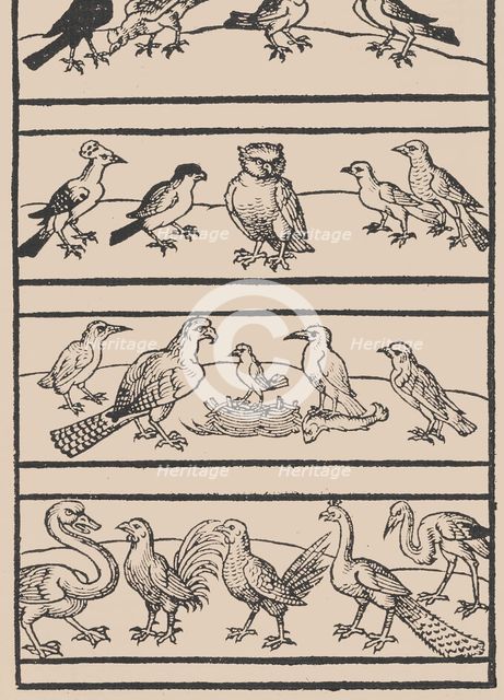 Page from Ein new kunstlich Modelbuch...(Page 8r), 1544., 1544. Creator: Peter Quentel.