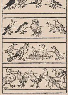 Page from Ein new kunstlich Modelbuch...(Page 8r), 1544., 1544. Creator: Peter Quentel