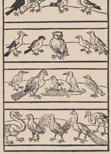Page from Ein new kunstlich Modelbuch...(Page 8r), 1544., 1544. Creator: Peter Quentel