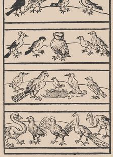 Page from Ein new kunstlich Modelbuch...(Page 8r), 1544., 1544. Creator: Peter Quentel