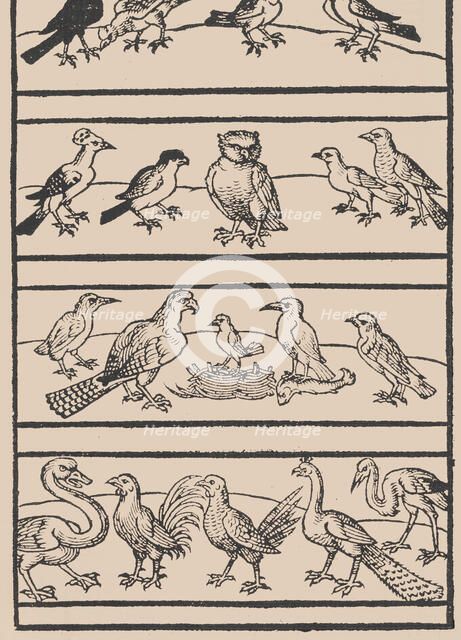 Page from Ein new kunstlich Modelbuch...(Page 8r), 1544., 1544. Creator: Peter Quentel.