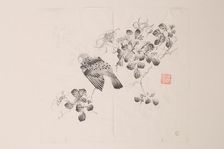 Page from Shi Zhu Zhai. Creator: Unknown