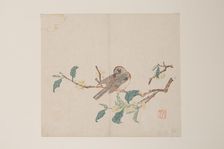 Page from Shi Zhu Zhai. Creator: Unknown