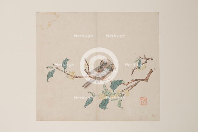 Page from Shi Zhu Zhai. Creator: Unknown.