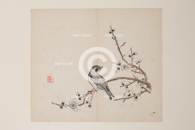 Page from Shi Zhu Zhai. Creator: Unknown.