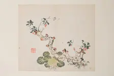 Page from Shi Zhu Zhai. Creator: Unknown