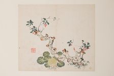 Page from Shi Zhu Zhai. Creator: Unknown