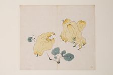 Page from Shi Zhu Zhai. Creator: Unknown